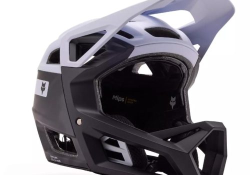 Casco Integral Fox Proframe RS Taunt White