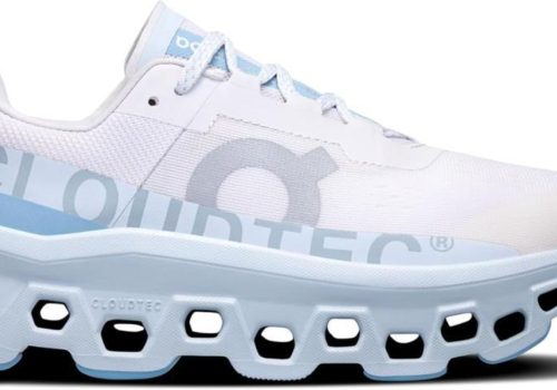Zapatillas ON Cloudmonster Frost/Wash