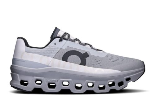 Zapatillas ON Cloudmonster Alloy/Silver