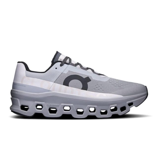 Zapatillas ON Cloudmonster Alloy/Silver